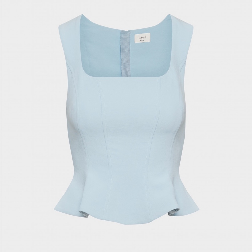 Aritzia Rhodora Bustier Top
